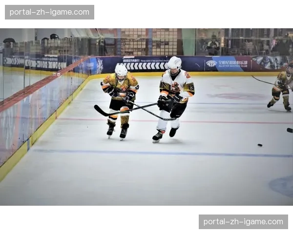 体育数据平台支撑国家队科学化选材与训练体系。